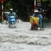 Mưa lớn gây ngập tại tổ 19, phường Tiền Phong, thành phố Thái Bình. (Ảnh: Thế Duyệt/TTXVN)
