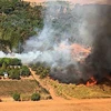 Khói lửa bốc lên từ đám cháy rừng tại khu vực Pantanal, bang Mato Grosso, Brazil. (Ảnh: AFP/TTXVN)