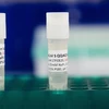 Vắcxin phòng COVID-19 được nghiên cứu trong phòng thí nghiệm của Novavax tại Gaithersburg, Maryland, Mỹ. (Ảnh: AFP/TTXVN)