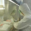Viện Pasteur Nha Trang thực hiện test mẫu bệnh phẩm liên quan dịch COVID-19. (Ảnh: Phan Sáu/TTXVN)