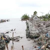 Khu vực bờ biển Tây Cà Mau bị sạt lở, đoạn giáp ranh xã Vân Khánh Tây, huyện An Minh, tỉnh Kiên Giang. (Ảnh: Huỳnh Anh/TTXVN)