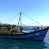 Tàu ĐNa 77111TS khai thác giã cào trái phép trên vùng biển ven bờ ở thị trấn Lăng Cô. (Ảnh: TTXVN phát)