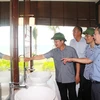 Khách sạn trên đảo Quan Lạn 'từ chối' đón khách vì thiếu nước sạch