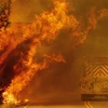 Cháy rừng dữ dội gần Lake Berryessa ở Napa, California (Mỹ). (Ảnh: AFP/TTXVN)