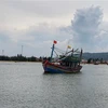 Các thuyền viên được các tàu cá địa phương khai thác hải sản gần đó phát hiện, cứu vớt và đưa vào bờ an toàn. (Ảnh: Võ Dung/TTXVN)