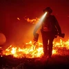 Lính cứu hỏa tham gia dập lửa cháy rừng tại hạt Butte, California, Mỹ. (Ảnh: AFP/TTXVN)