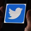 Biểu tượng Twitter trên một màn hình điện thoại ở Arlington, bang Virginia, Mỹ. (Ảnh: AFP/TTXVN)