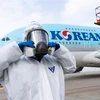 Máy bay của Korean Air tại sân bay Incheon, Hàn Quốc. (Ảnh: AFP/TTXVN)