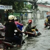 Đường Tân Hòa Đông (quận Bình Tân) bị ngập sâu do mưa lớn kết hợp triều cường. (Ảnh: Hồng Giang/TTXVN)