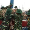 Bộ đội biên phòng Quảng Trị giúp ngư dân di chuyển ngư cụ chuẩn bị ứng phó với bão số 5. (Ảnh: Hồ Cầu/TTXVN)