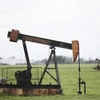 Máy bơm dầu tại một mỏ dầu ở Luling, bang Texas, Mỹ. (Ảnh: THX/TTXVN)