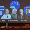 Chân dung các nhà khoa học đoạt giải Nobel Y học 2020 (trên màn hình, từ trái sang) Harvey Alter (Mỹ), Michael Houghton (Anh) và Charles Rice (Mỹ) trong cuộc họp báo công bố về giải thưởng ở Viện Karolinska, thủ đô Stockholm (Thụy Điển). (Ảnh: AFP/TTXVN)