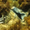 Rác thải nhựa dưới đáy biển ở gần bờ biển Lindos trên đảo Rhode, Hy Lạp. (Ảnh: AFP/TTXVN)