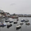 Các thuyền đánh cá neo tại cảng ở Brixham, Anh. (Ảnh: AFP/TTXVN)