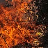 Lửa bốc lên từ đám cháy rừng ở khu vực Bludan, Syria. (Ảnh: AFP/TTXVN)
