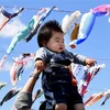 Một ông bố cho con chơi đùa dưới cờ cá chép treo bên bờ sông ở Sagamihara, ngoại ô Tokyo, Nhật Bản. (Ảnh: AFP/TTXVN)