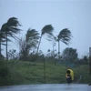 Gió giật mạnh trước khi bão Vamco đổ bộ vào thành phố Legazpi, tỉnh Albay, Philippines. (Ảnh: AFP/TTXVN)