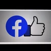 Biểu tượng Facebook trên màn hình điện thoại di động tại Arlington, Virginia, Mỹ. (Ảnh: AFP/TTXVN)