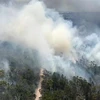 Khói bốc lên từ đám cháy rừng trên đảo Fraser thuộc bang Queensland, Australia. (Ảnh: AFP/TTXVN)