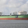 Tàu chở dầu BW Rhine. (Nguồn: Marinetraffic.com)