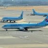 Máy bay của Hãng hàng không Hàn Quốc Korean Air tại sân bay Gimpo ở Seoul. (Ảnh: AFP/TTXVN)