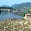 Các hộ nuôi cá lồng đang bị ảnh hưởng do nước sông Lô cạn. (Ảnh: Vũ Quang/TTXVN)