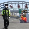 Cảnh sát gác tại thành phố Thạch Gia Trang, tỉnh Hà Bắc, Trung Quốc. (Ảnh: THX/ TTXVN)