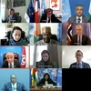 Đại diện các nước thành viên Hội đồng Bảo an Liên hợp quốc họp trực tuyến về Cộng hòa Trung Phi. (Ảnh: Hữu Thanh/TTXVN)