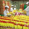 Đóng gói sản phẩm bánh quy tại nhà máy của Công ty CP Tràng An. (Ảnh: Vũ Sinh/TTXVN)
