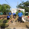 Các đoàn viên, thanh niên xã Hòa An, thành phố Cao Lãnh, Đồng Tháp bắt tay thực hiện mô hình bãi rác vườn hoa. (Ảnh: Chương Đài/TTXVN)