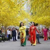 Khi đến với những điểm bán, phiên chợ Tết trên địa bàn Thành phố Hồ Chí Minh, người dân còn có thể chụp ảnh lưu lại không khí Xuân rực rỡ. (Ảnh: TTXVN)