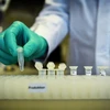Thử nghiệm chế vắcxin tại Công ty CureVac của Đức. (Ảnh: Reuters/TTXVN)