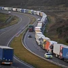 Xe tải xếp hàng trên tuyến Quốc lộ A20, tuyến đường chính dẫn tới cảng Dover, phía Nam Anh. (Ảnh: TTXVN phát)