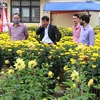 Người dân chọn mua hoa, cảnh Tết ở chợ hoa Xuân tại thành phố Đông Hà. (Ảnh: Nguyên Lý/TTXVN)