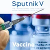 Vaccine ngừa COVID-19 Sputnik V của Nga. (Ảnh: AFP/TTXVN)