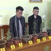 Hai đối tượng Hà Văn Thắng và Phạm Quang Hùng cùng tang vật vụ án tại cơ quan công an. (Ảnh: TTXVN)