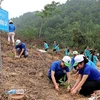 Đoàn Thanh niên tỉnh Hòa Bình tích cực trồng cây. (Ảnh: Thanh Hải/TTXVN)