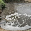 Nước thải từ trang trại gây ô nhiễm tại thôn 6, xã Nghĩa Lộ. (Ảnh: Tuấn Anh/TTXVN)