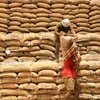 Gạo xuất khẩu của Ấn Độ. (Nguồn: thehindu.com)