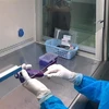 Nhân viên y tế xét nghiệm chẩn đoán COVID-19 bằng kỹ thuật Realtime PCR. (Ảnh: Lê Thúy Hằng/TTXVN)