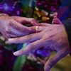 Cô dâu và chú rể trao nhẫn cưới trong một đám cưới ở Ấn Độ. (Nguồn: odditycentral.com)