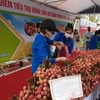 Điểm tiêu thụ nông sản tại số 489 đường Hoàng Quốc Việt, quận Cầu Giấy. (Ảnh: Bích Hồng/TTXVN)