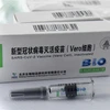 Vaccine ngừa COVID-19 của Sinopharm. (Ảnh: AFP/TTXVN)