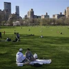 Người dân thư giãn tại khu Central Park ở New York, Mỹ. (Ảnh: AFP/TTXVN)