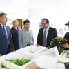 Đại sứ Thái Xuân Dũng (thứ 2, phải sang) thăm các cơ sở kinh doanh của người Việt tại Trung tâm thương mại ASIA DRAGON. (Ảnh: Hồng Kỳ/Vietnam+)