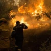 Lực lượng cứu hỏa nỗ lực dập lửa cháy rừng tại Evia, Hy Lạp. (Ảnh: THX/TTXVN)
