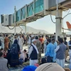 Hàng nghìn người dân Afghanistan đổ xô vào đường băng tìm cách rời khỏi đất nước. (Nguồn: AFP)