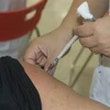 Cư dân các xã, phường biên giới của thành phố Móng được tiêm vaccine phòng COVID-19 mũi 2. (Ảnh: Thanh Vân/TTXVN)