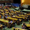 Toàn cảnh một phiên họp của Hội đồng Bảo an Liên hợp quốc về tình hình Ukraine tại New York, Mỹ. (Ảnh: AFP/TTXVN)
