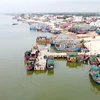 Đội tàu cá công suất lớn và cảng cá được xây dựng giúp ngư dân Quảng Trị khai thác hải sản hiệu quả. (Ảnh: Nguyên Lý/TTXVN)